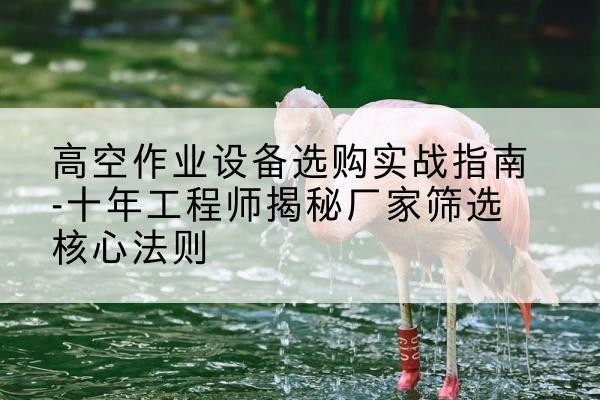 雨城剪叉式升降机厂家-高空作业设备选购实战指南-十年工程师揭秘厂家筛选核心法则