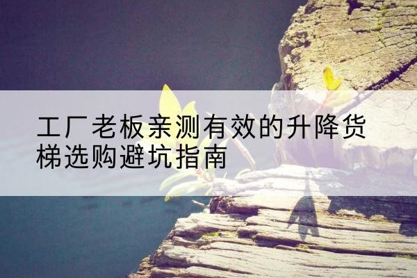 雨城升降货梯怎么选-工厂老板亲测有效的升降货梯选购避坑指南