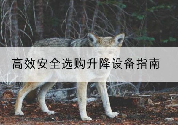 雨城升降货梯厂家推荐-*安全选购升降设备指南