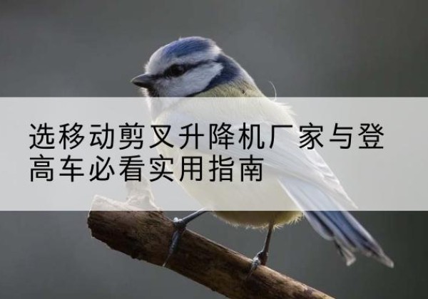 雨城电动升降机厂家-选移动剪叉升降机厂家与登高车必看实用指南