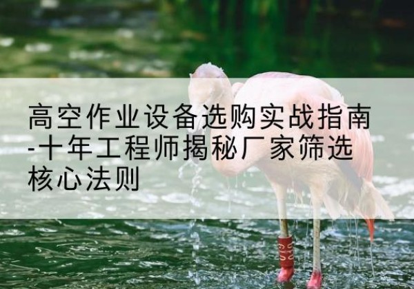 雨城剪叉式升降机厂家-高空作业设备选购实战指南-十年工程师揭秘厂家筛选核心法则
